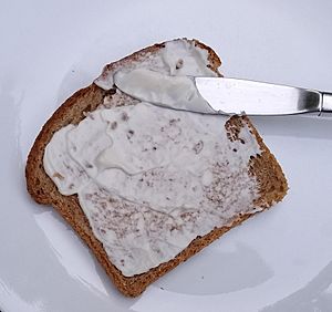 Archivo:Vegan mayonnaise on bread