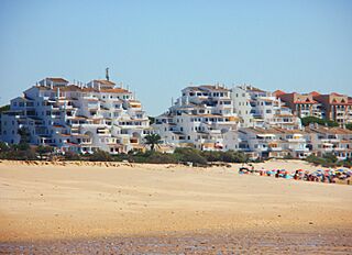Viviendas - Nuevo Portil.jpg