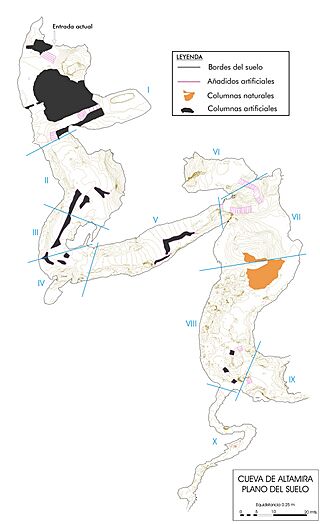 5 Planta de la cueva de Altamira.jpg