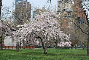 Archivo:Battery Park, Manhattan - panoramio