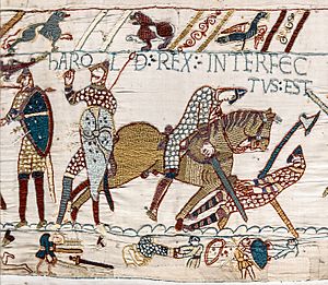 Archivo:Bayeux Tapestry scene57 Harold death