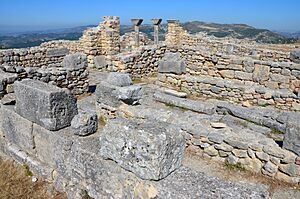 Archivo:Byllis 2013 04