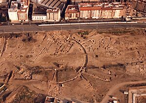Archivo:Cercadilla y el AVE