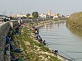 Concurso regional de pesca en Fortaleny, en el río Júcar