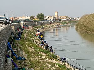 Archivo:Concurso regional de pesca en Fortaleny, en el río Júcar