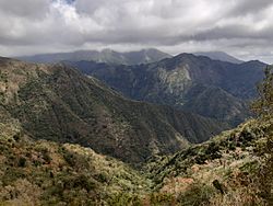 Desde el manaclar.jpg