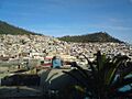 El arbolito-pachuca