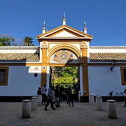 Archivo:Entrada al Palacio de las Dueñas, Sevilla