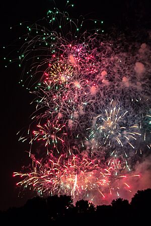 Archivo:Fallas2017 Fuegos Artificiales 13 Nit del Foc