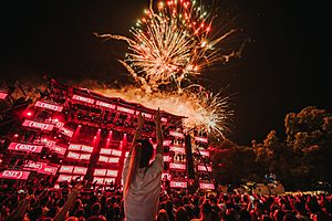 Archivo:Fireworks at EXIT Festival 2018