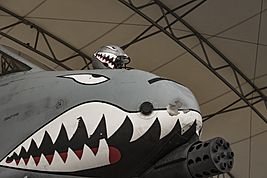 Archivo:Flying Tigers helmet 161229-F-NI493-052