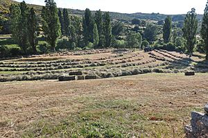 Archivo:Heno en Sierra de Ávila