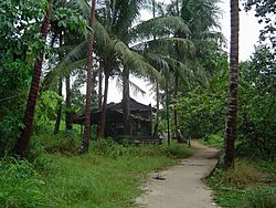 Archivo:House near the northern coast of Pulau Ubin, Singapore - 20050803