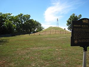 Archivo:Indian Mounds park