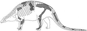 Archivo:Nodosaurus textilis