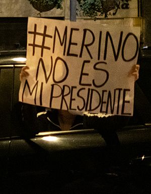 Archivo:Protests in Miraflores - November 14 - 50608357741 (cropped)