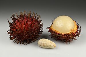 Archivo:Rambutans with seed