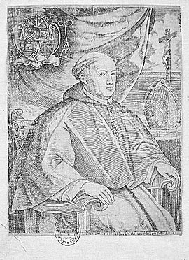 Archivo:Retrato de Alonso de Santo Tomás, obispo de Málaga