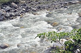 Saryu river - panoramio