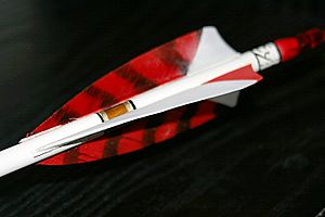 Archivo:Spliced feather 0002