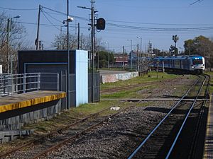 Archivo:Tren de la Línea Belgrano Sur llegando a estación Libertad.