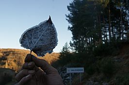 Otoño en Valcuende