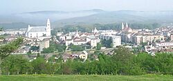 Vedere generala a municipiului Gherla.jpg