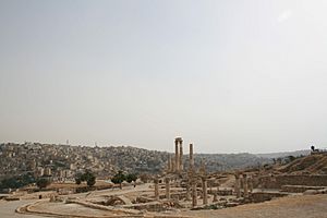 Archivo:View of the Amman Citadel, Jordan3
