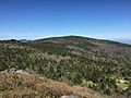 2017-05-16 09 51 01 View west-northwest toward Mount Rogers from the summit of Pine Mountain within the Mount Rogers National Recreation Area in Grayson County, Virginia