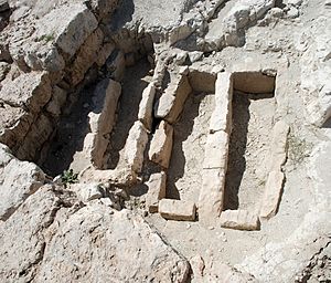 Archivo:Archaeological site of La Poza (Baltanás) 010