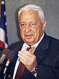 Archivo:Ariel Sharon, by Jim Wallace (Smithsonian Institution)
