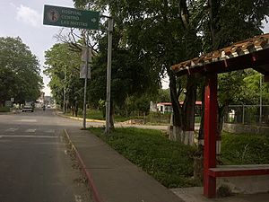 Archivo:Avenida Miranda(Sarare)