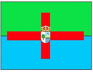 Archivo:Bandera con escudo Olmedo