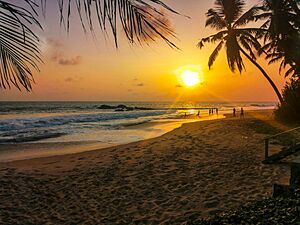 Archivo:Beach Sunset Ambalangoda