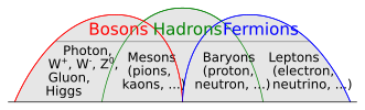 Archivo:Bosons-Hadrons-Fermions-RGB