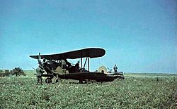 Archivo:Bundesarchiv Bild 169-0112, Russland, erbeutetes Flugzeug Po-2 - restored