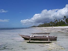 Bwejuu, Zanzibar.JPG
