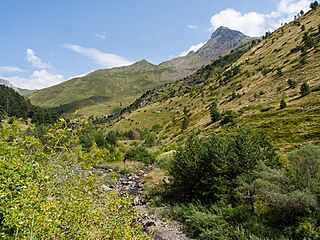 Canal Roya - WLE Spain 2015.jpg