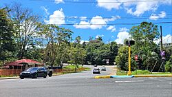Carretera PR-7733, Cidra, Puerto Rico (2).jpg