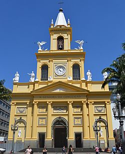 Archivo:Catedral Campinas SP