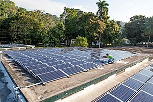 Archivo:CivicSolar 3
