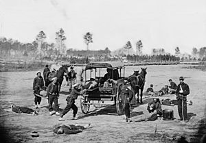 Archivo:Civil War Zouave ambulance