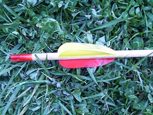 Archivo:DFRArrow (1)