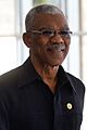 David Granger 2015 (cropped)