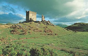 Archivo:Dolwyddelan Castle Cadw