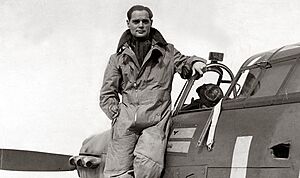 Douglas-Bader-on-wingLG.jpg