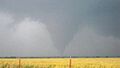 Douglas Tornado