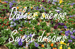 Archivo:Dulces sueños. Sweet dreams (RPS 31-10-2009)