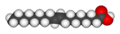 Elaidic-acid-3D-vdW