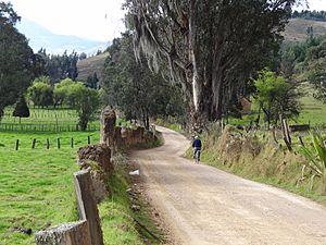 Archivo:Floresta - Boyaca (1)